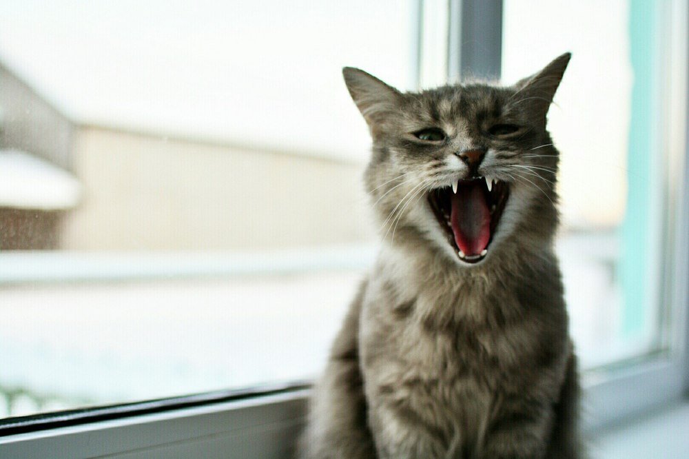 Photograph by Максим Ватрушкин