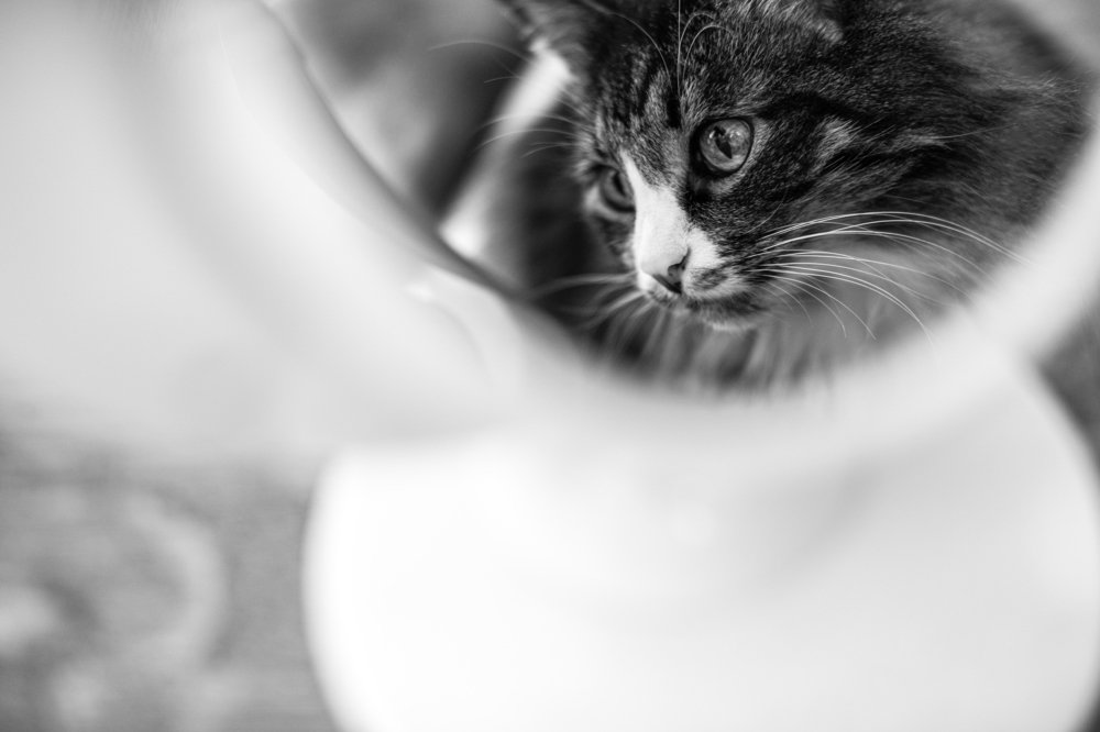 Зеркальная Люся