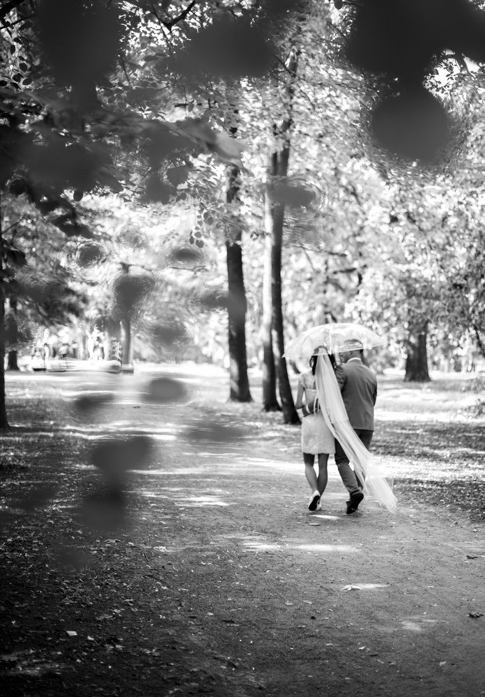 Фотография автора Николай Авакян