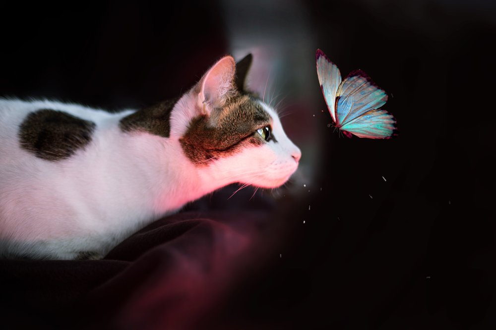 Photograph by Индира Кузнецова