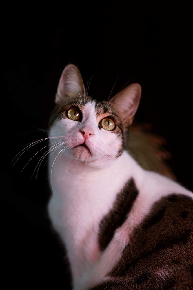 Photograph by Индира Кузнецова