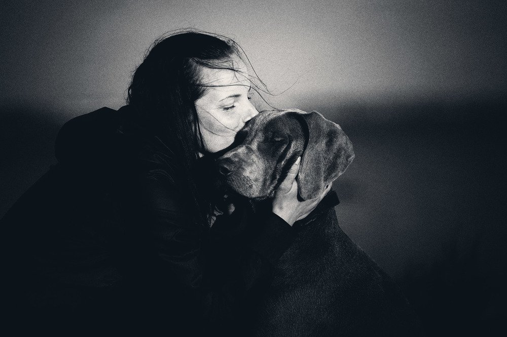 Photograph by Photo Lesnoe