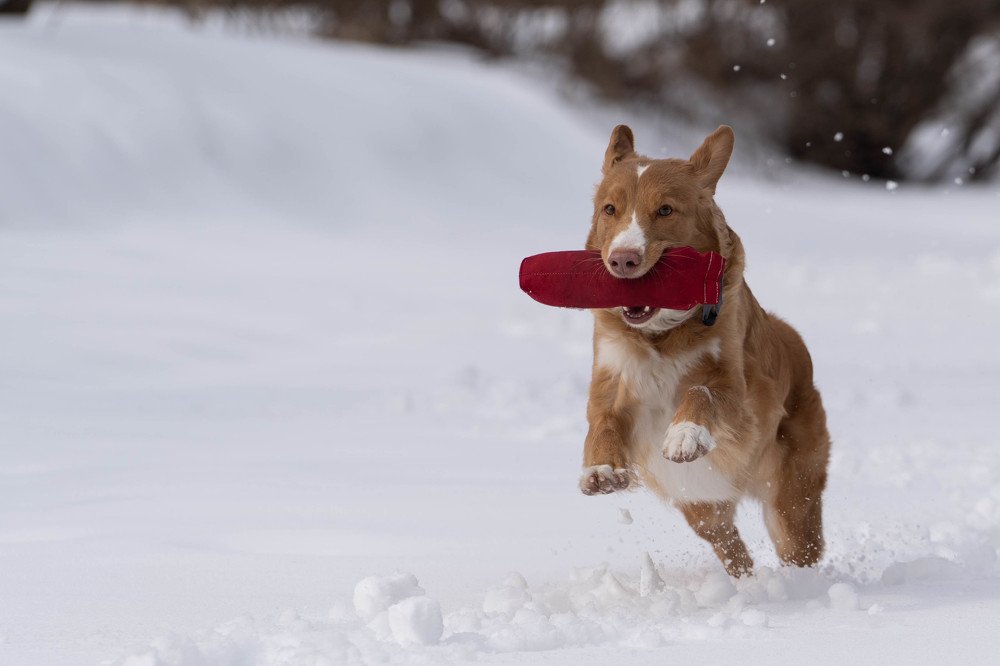 Photograph by Андрей Игнатенко