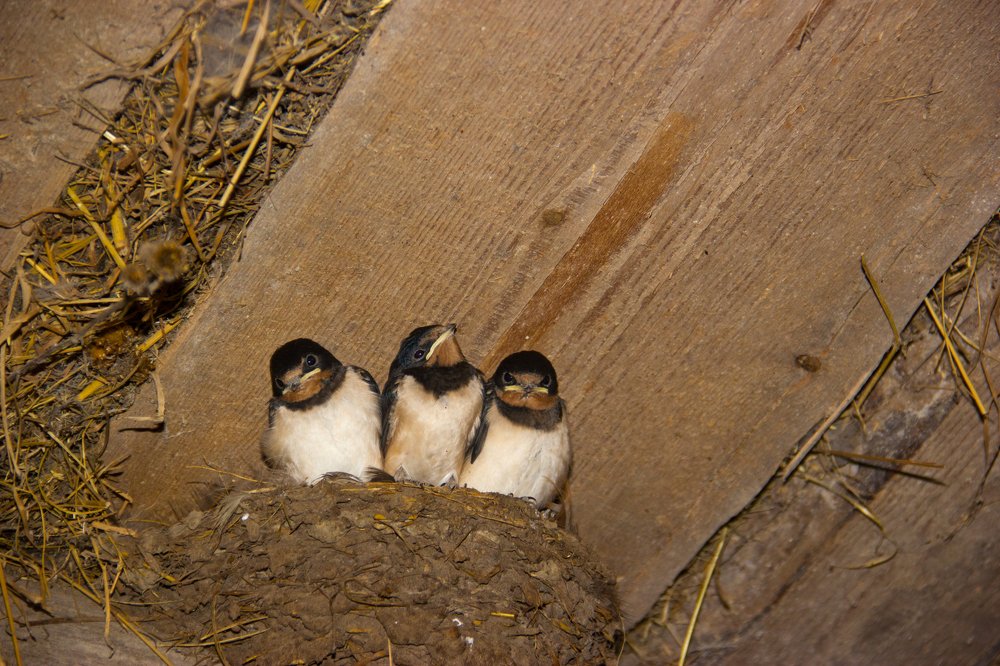 скоро полетим