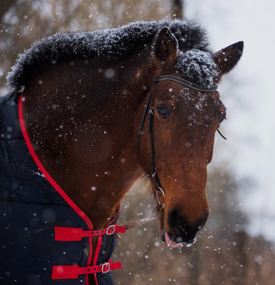 Photograph by Даркина Дарья
