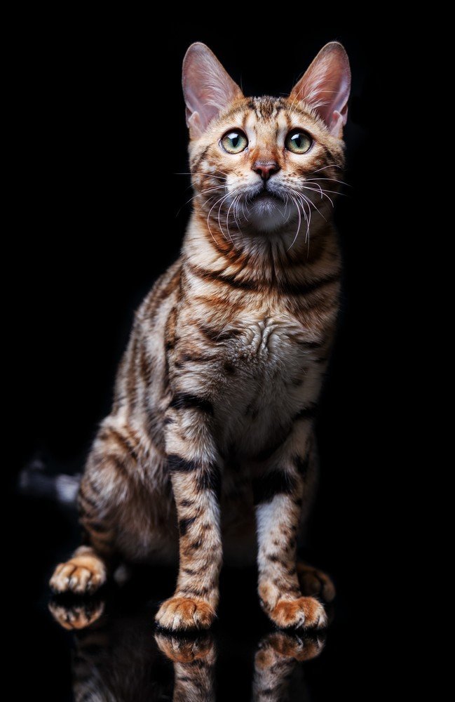 Photograph by Андрей Любицкий