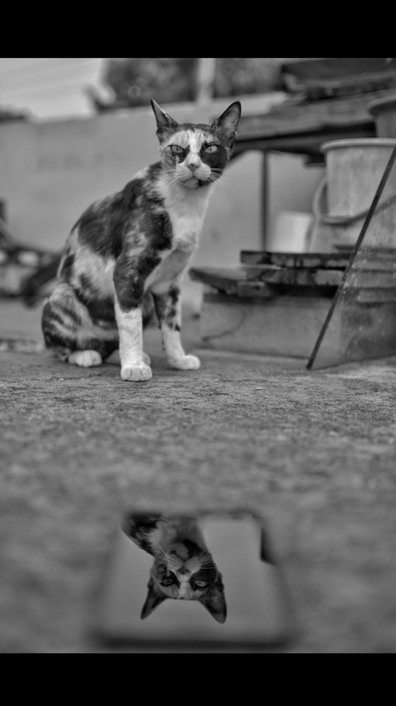 Photograph by Shubham