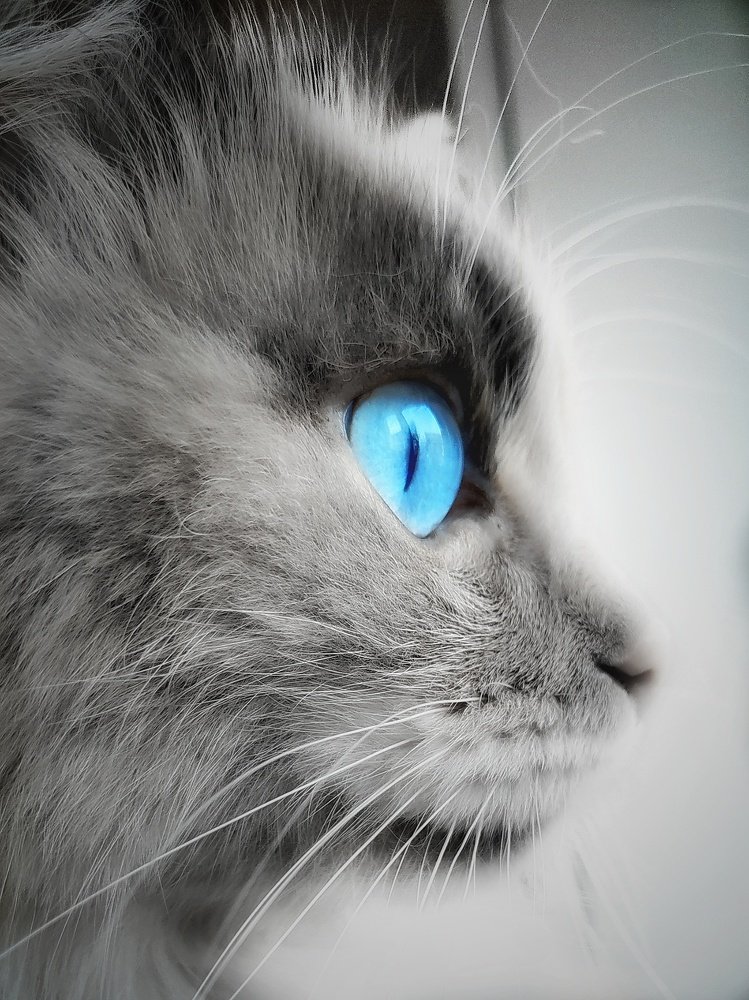 Photograph by Юлия Марфонова