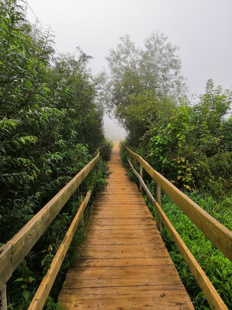 Photograph by Елена Панькова