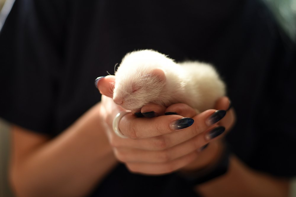 Такое маленькое, но такое большое счастье!