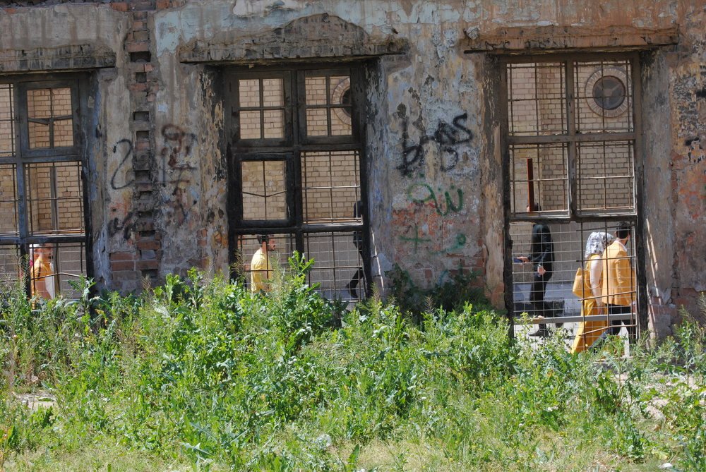 Photograph by mohammed maarij