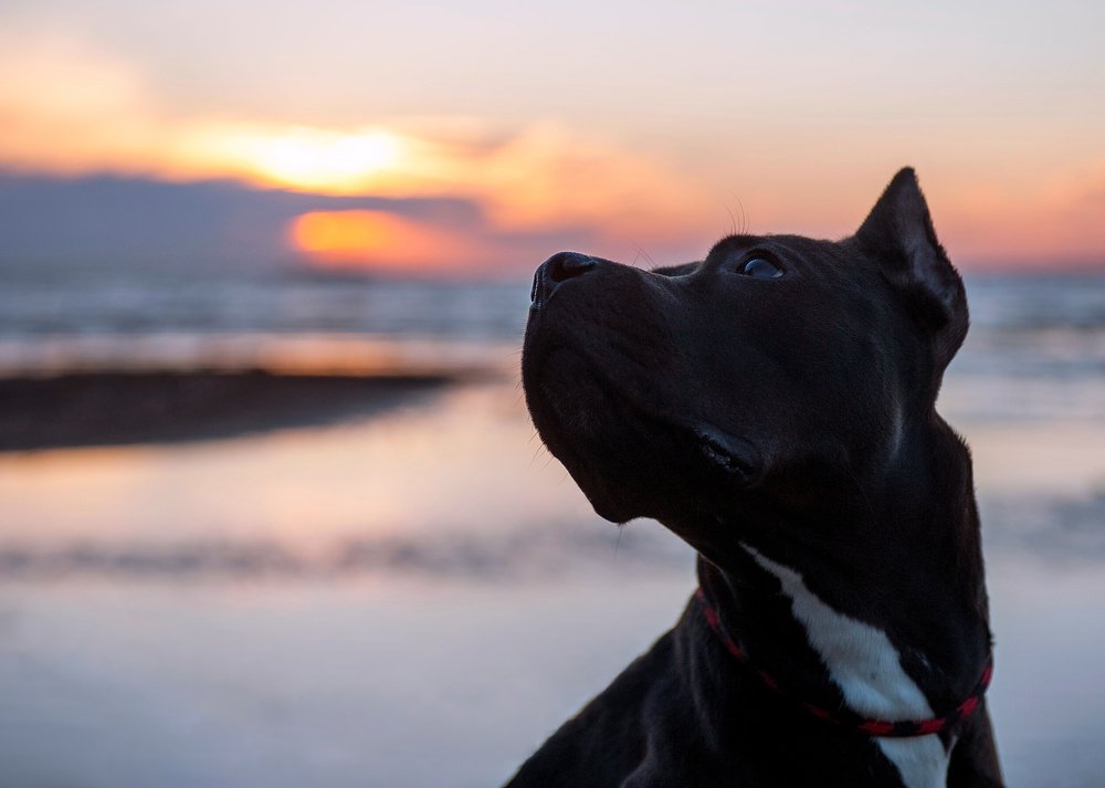 Photograph by Photo Lesnoe