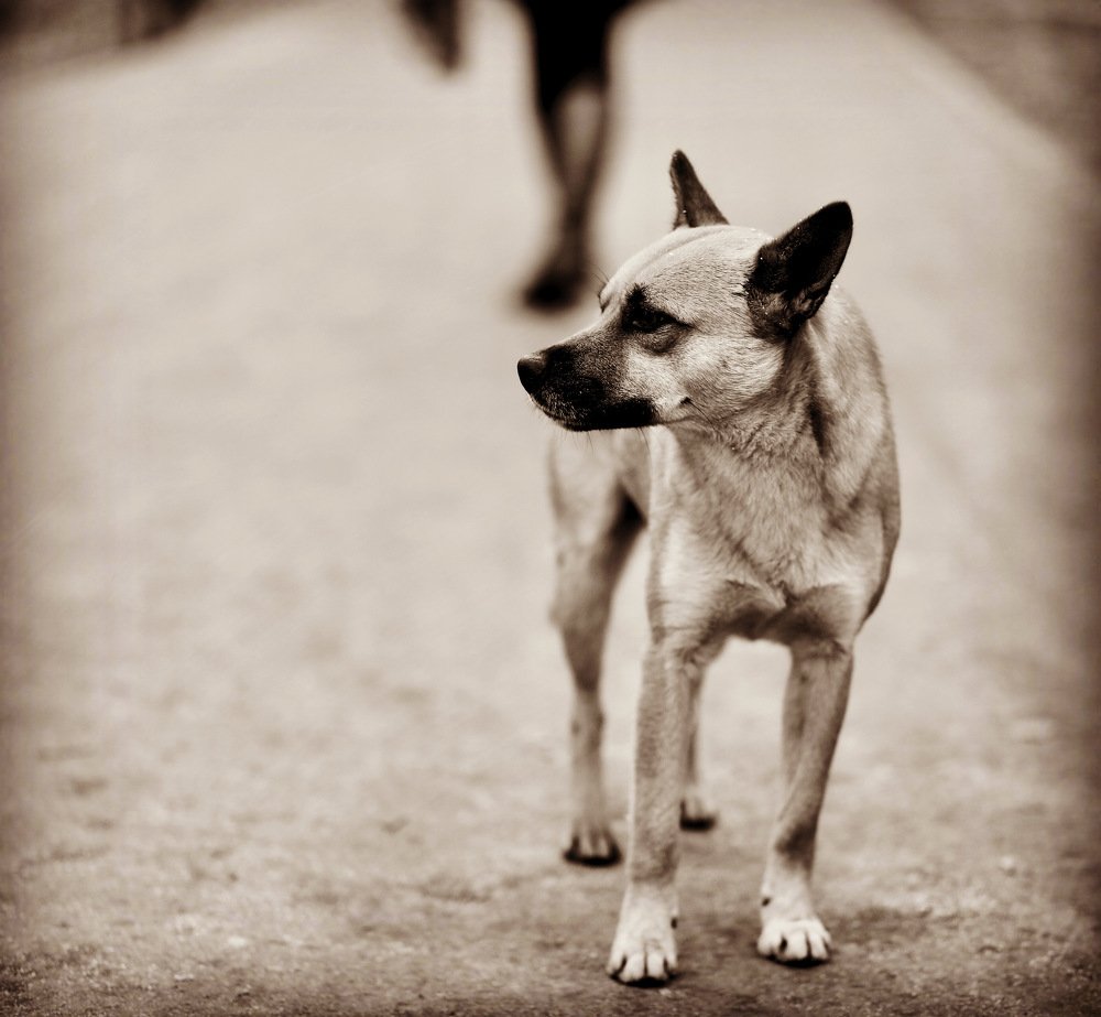 Photograph by Валерий Церковный