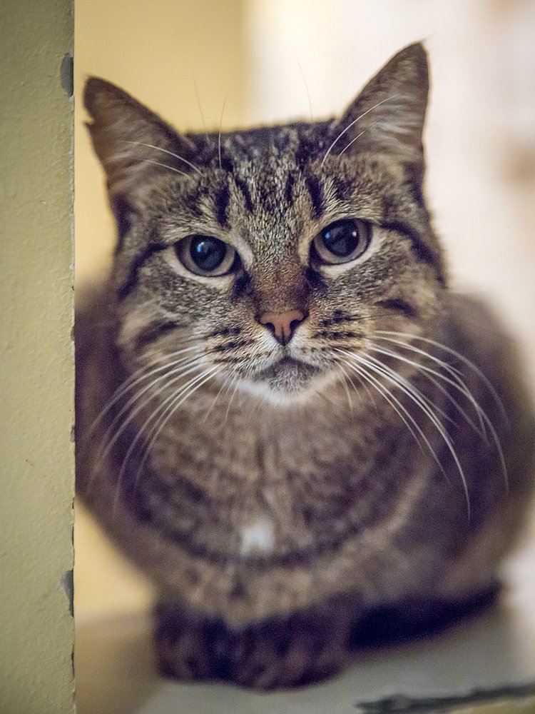 Photograph by Евдокия Спуре