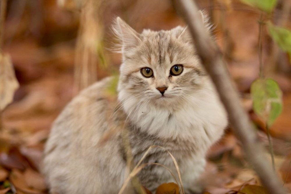 Photograph by Валерий Церковный