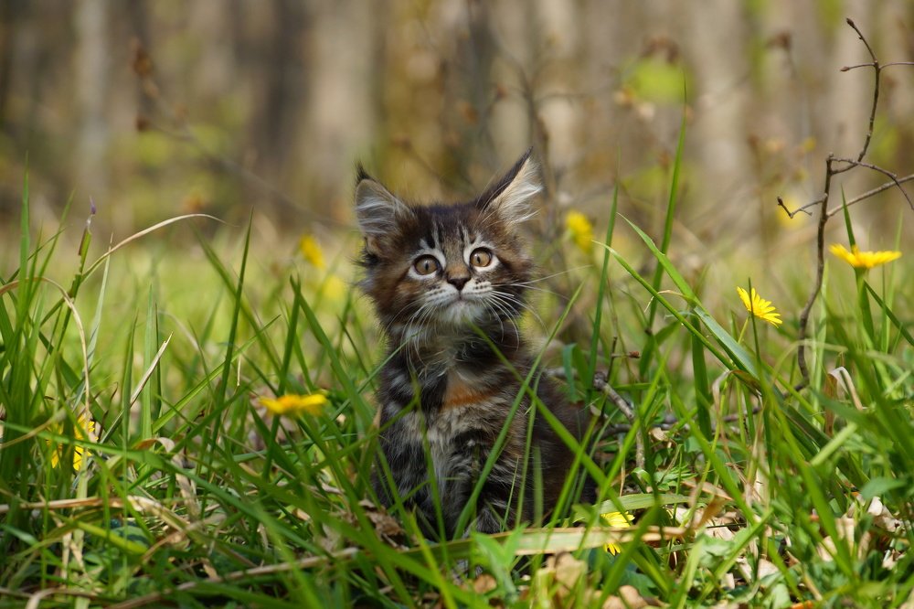 Photograph by Марина Гнедаш