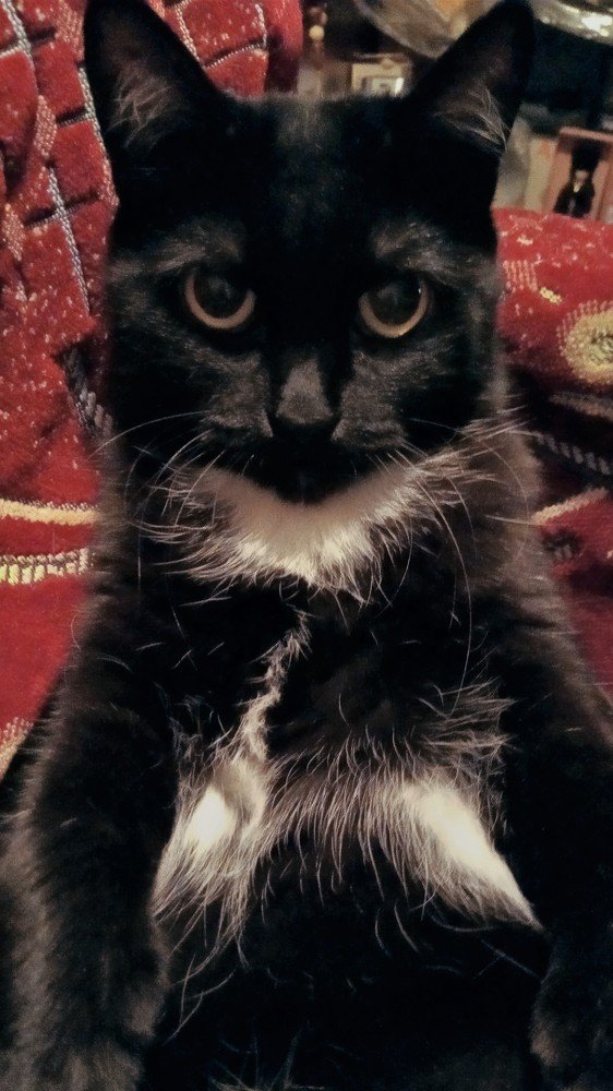 Photograph by Алия Байсыкова