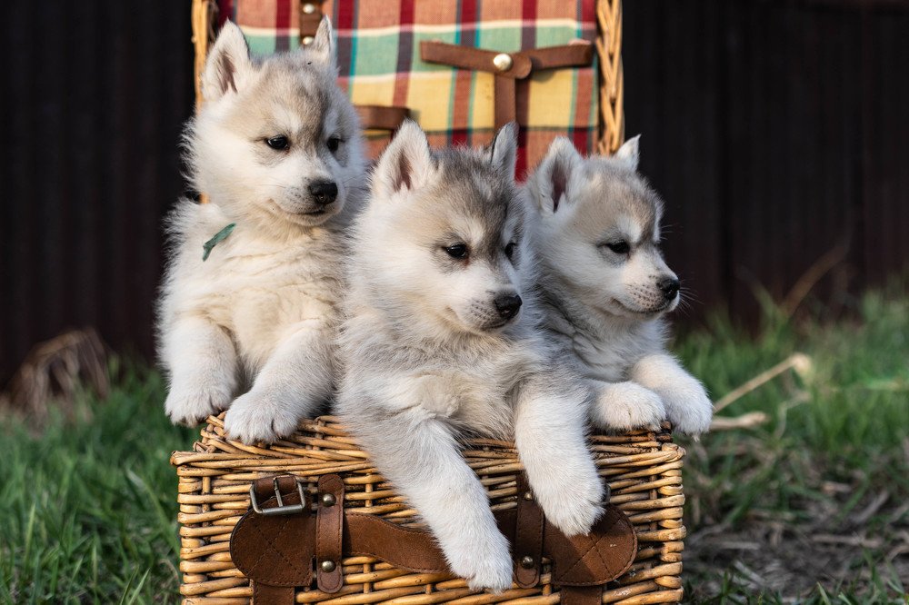 Photograph by Андрей Игнатенко