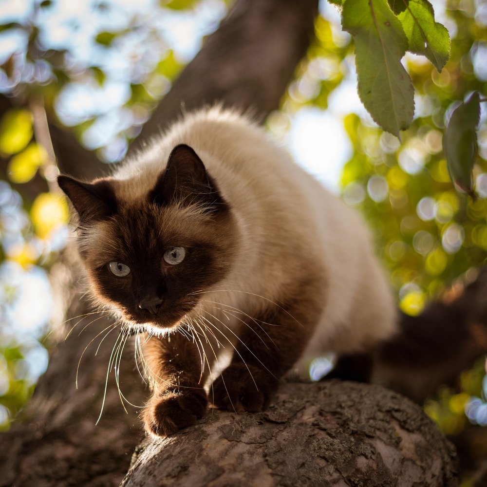 Photograph by Вероника Мищенко