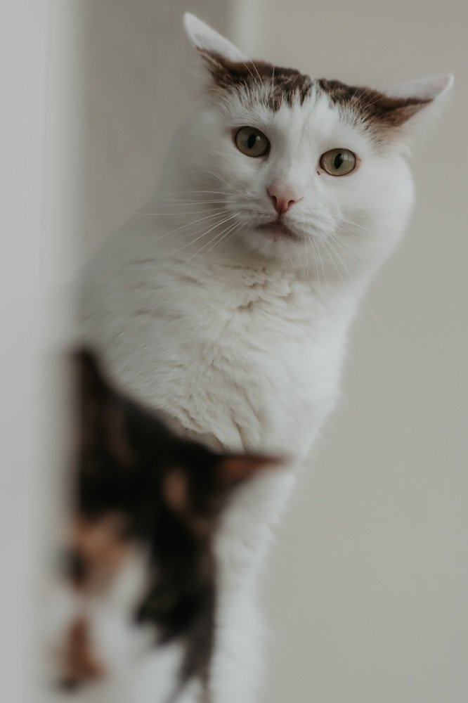 Photograph by Марина Моисеева