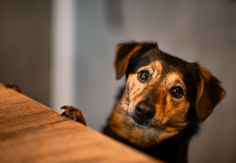 Photograph by Юлия Борт