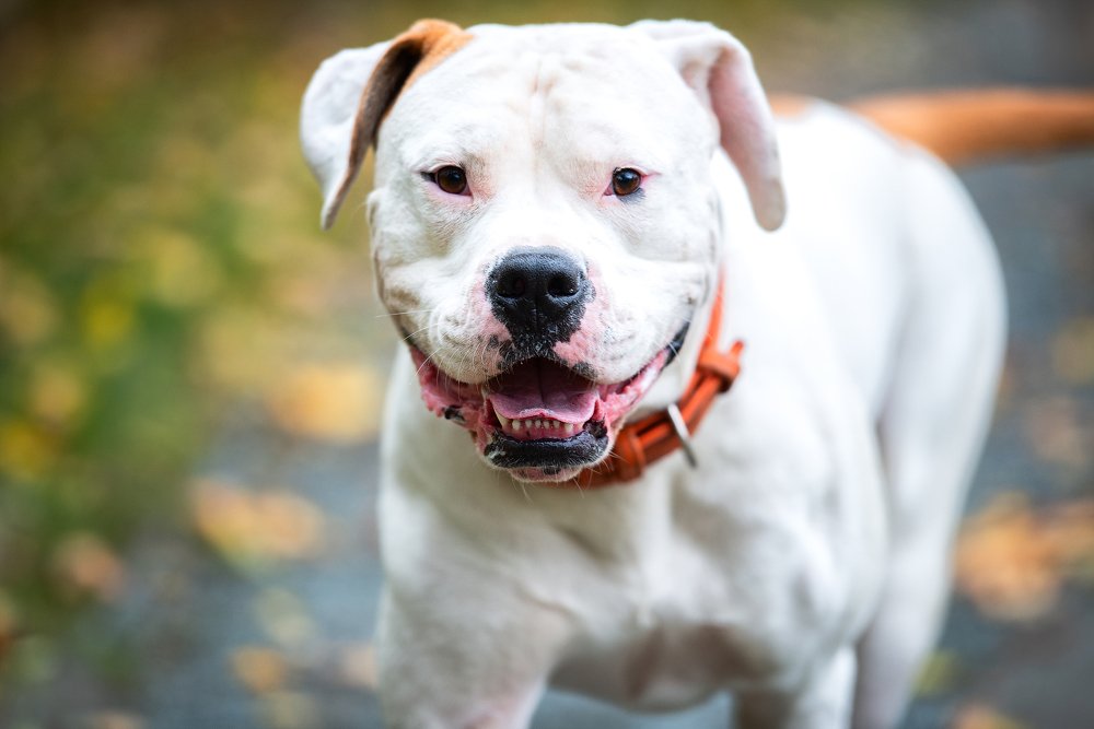 Photograph by Юлия Борт