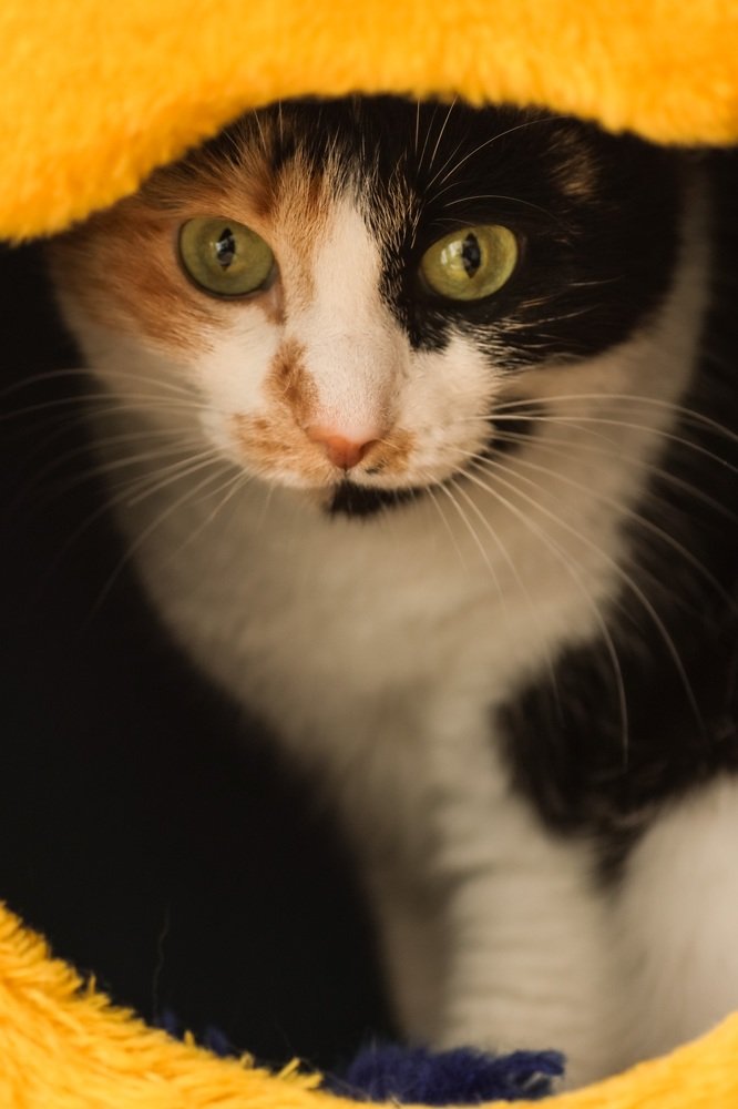 Photograph by Марина Моисеева