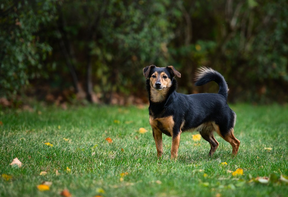 Photograph by Юлия Борт