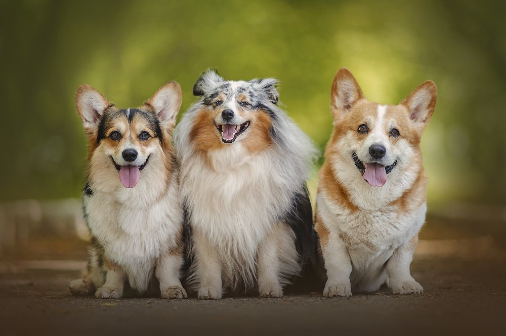 Photograph by Ксения Лысенкова