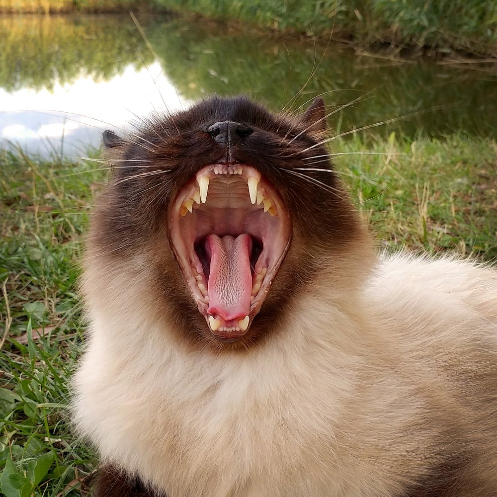 Photograph by Вероника Мищенко