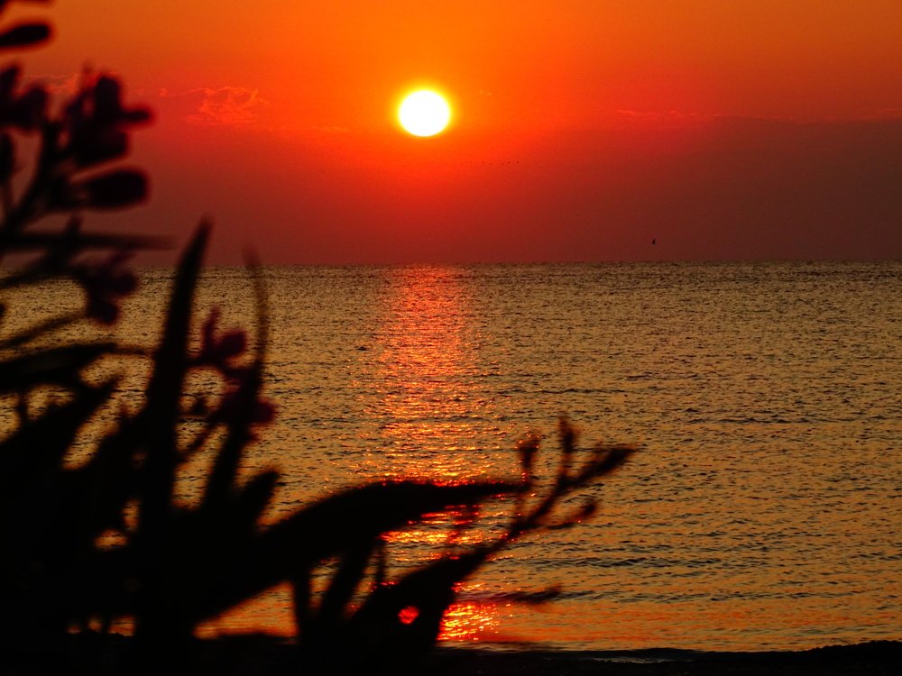 Фотография автора Remus Lucescu