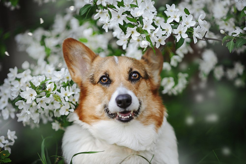 Photograph by Ксения Лысенкова