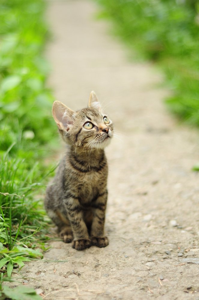 Photograph by Юлия Кравченко