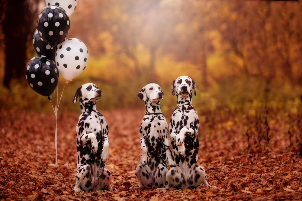 Photograph by Маргарита Черкасова