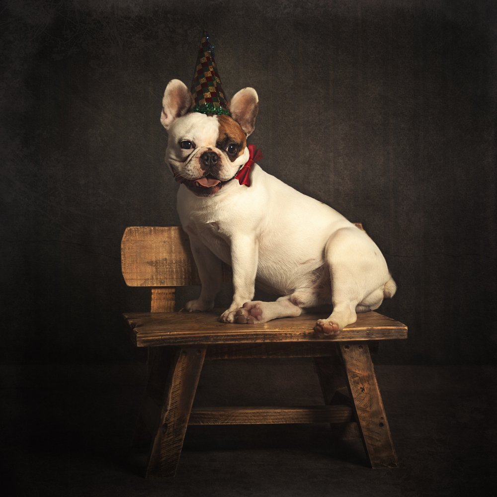 Photograph by Paola Massa