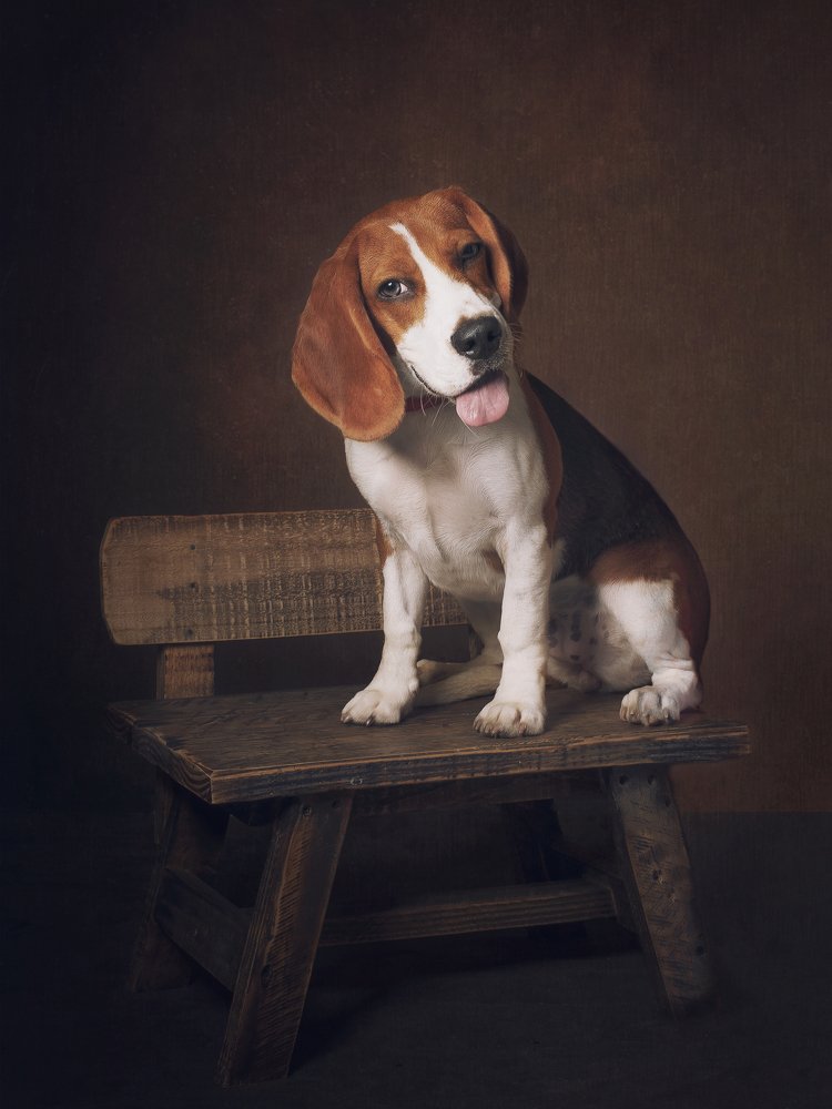 Photograph by Paola Massa