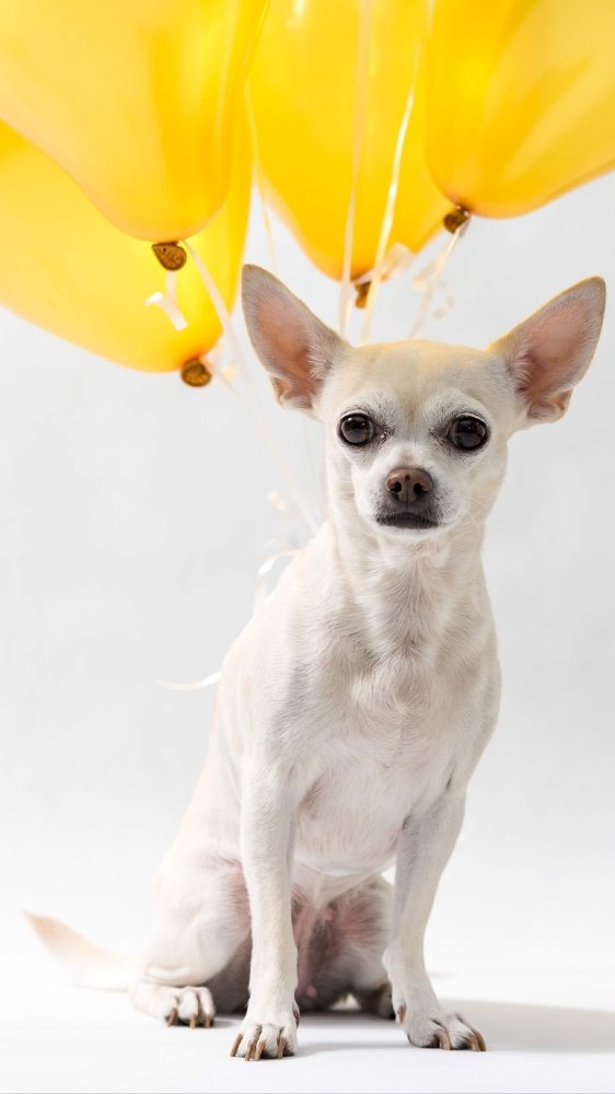 Фотография автора Natalia Starikova