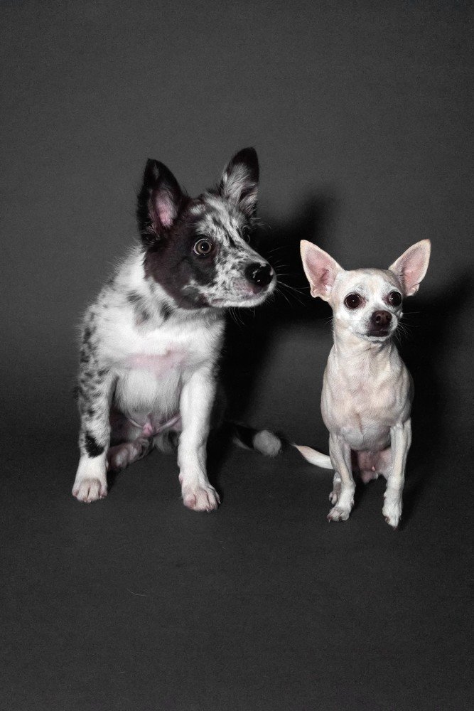 Фотография автора Natalia Starikova