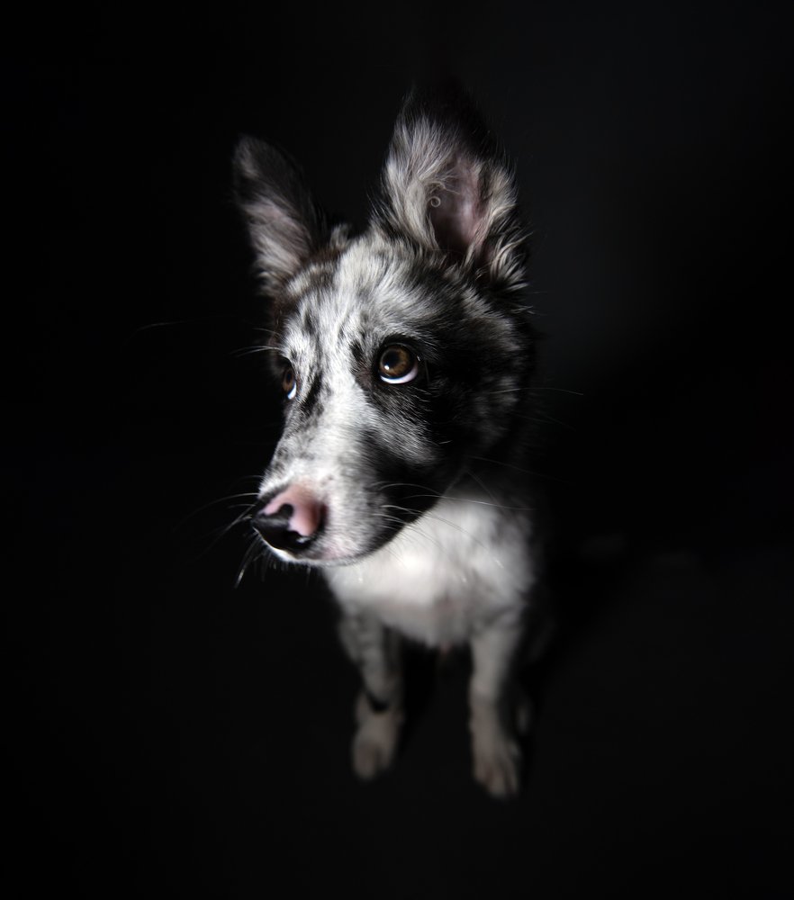 Фотография автора Natalia Starikova