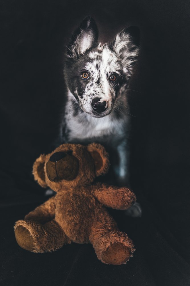 Фотография автора Natalia Starikova