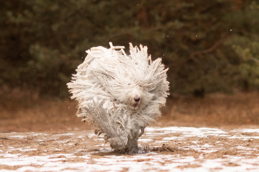 Photograph by Маргарита Черкасова