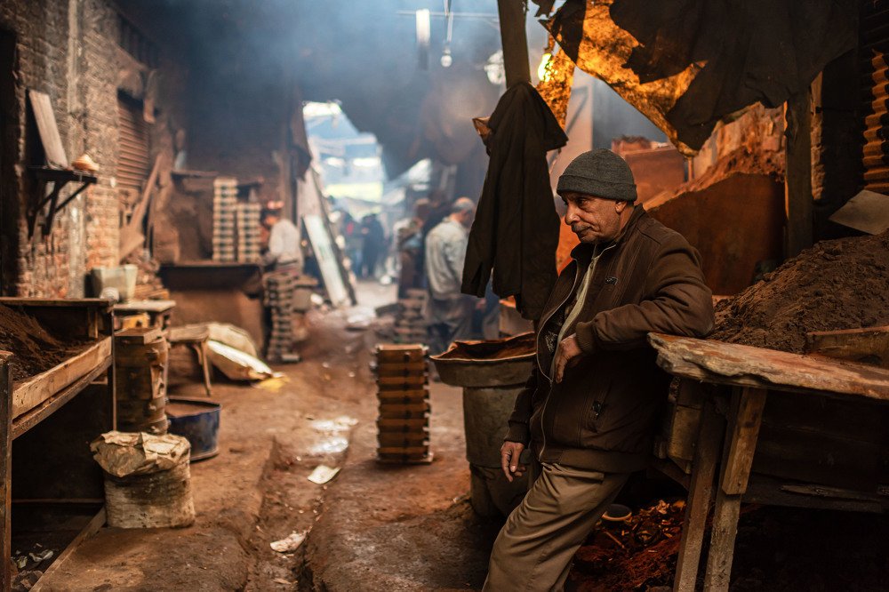 What does the future look like