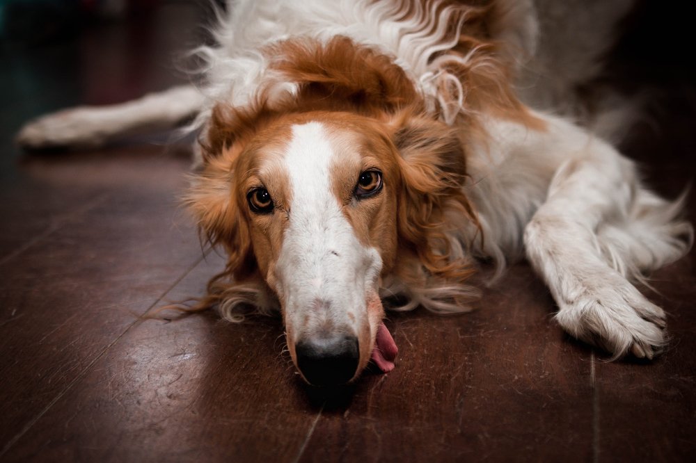 Photograph by Макарова Марина