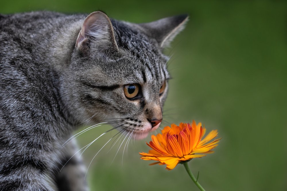Photograph by Сергей Романченко