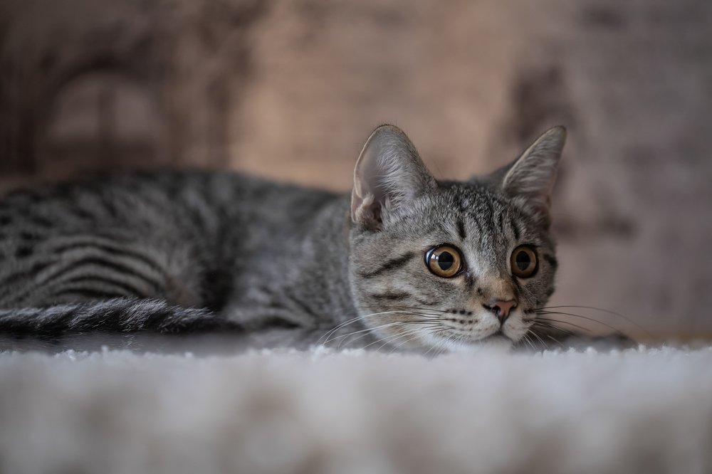 Photograph by Сергей Романченко