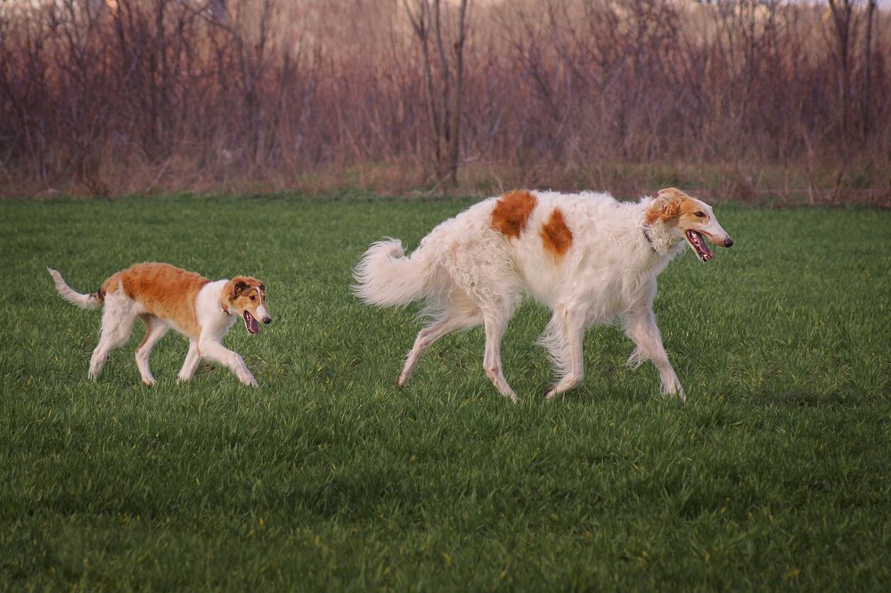 Photograph by Макарова Марина