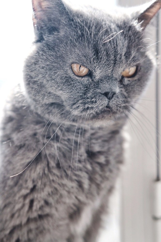 Photograph by Svetlana Geynts