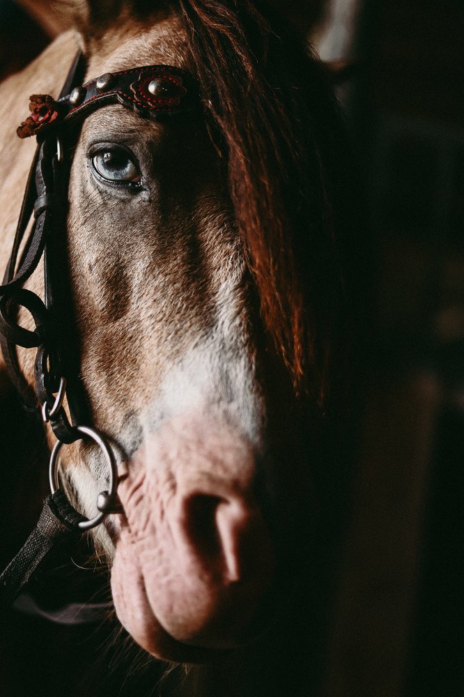 Photograph by Светлана Беляева