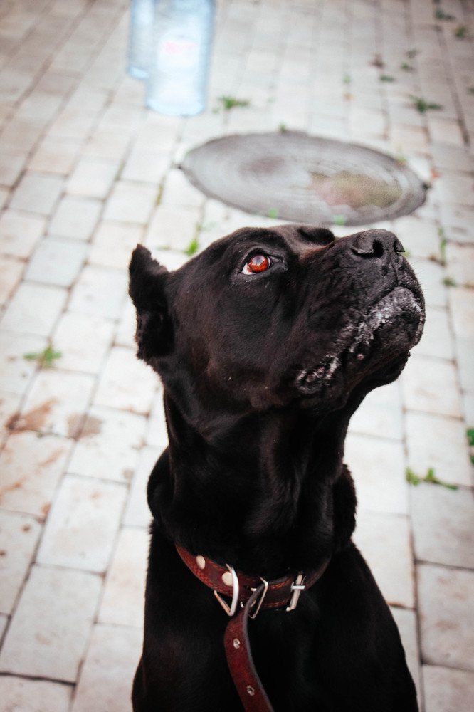 Photograph by Светлана Беляева