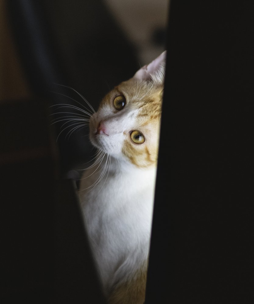 Photograph by vincent Lecolley